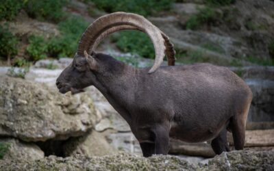 At vero eos et accusam